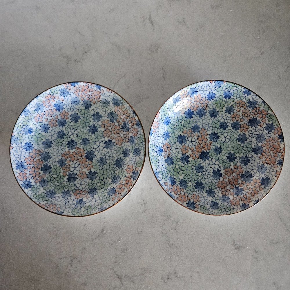 BRAND NEW PAIR OF DECORATIVE PLATES WITH FLOWERS IN PEACH, BLUE, GREEN AND WHITE